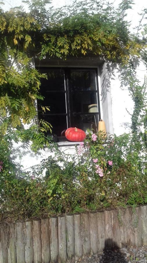La Colline Des Roses Bed & Breakfast Conchil-le-Temple ภายนอก รูปภาพ