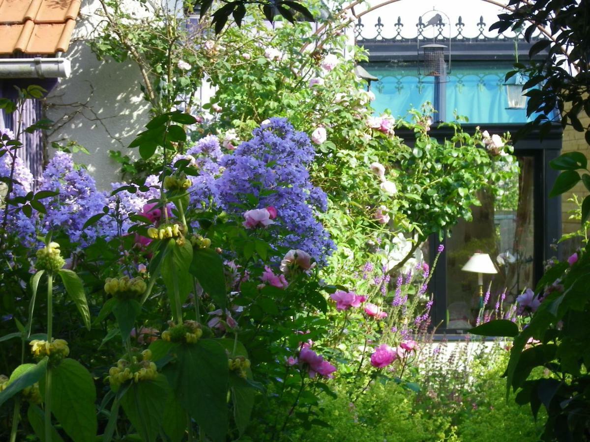 La Colline Des Roses Bed & Breakfast Conchil-le-Temple ภายนอก รูปภาพ