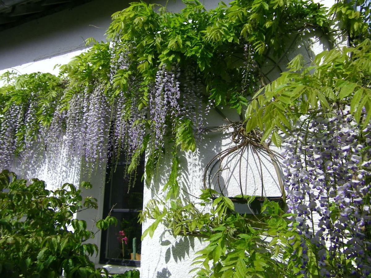 La Colline Des Roses Bed & Breakfast Conchil-le-Temple ภายนอก รูปภาพ